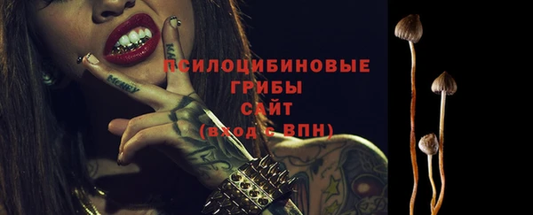 герыч Вяземский