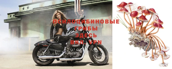 прущая мука Вязники