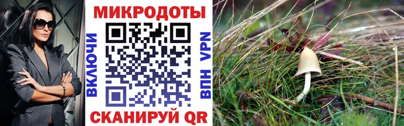 Галлюциногенные грибы GOLDEN TEACHER  Верхняя Салда 