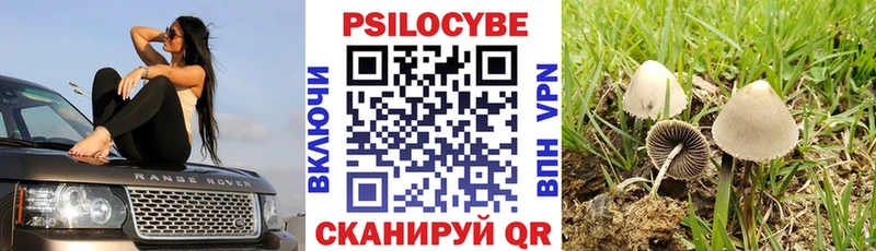 Псилоцибиновые грибы мицелий Верхняя Салда