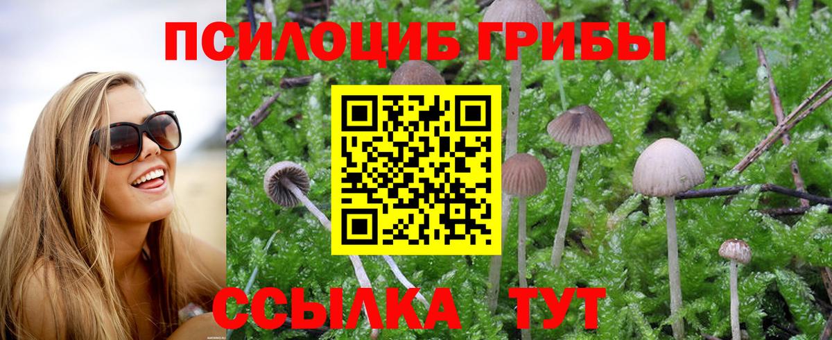Галлюциногенные грибы прущие грибы Верхняя Салда