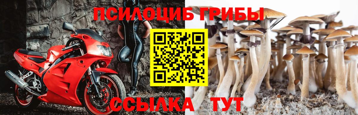 Псилоцибиновые грибы GOLDEN TEACHER  Верхняя Салда  Галлюциногенные грибы мухоморы 